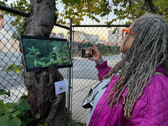 A person with gray dreads using their phone to take a picture of a photo mounted to a tree